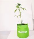 Mister Green | LARGE ROUND TOTE