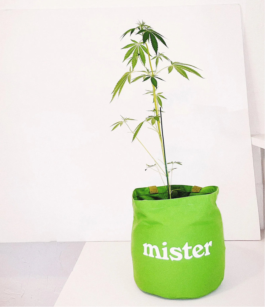 Mister Green | LARGE ROUND TOTE